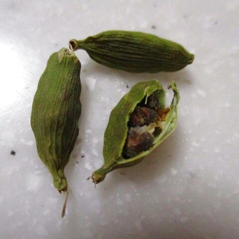 スパイスで爽やかさプラス カルダモン蜂蜜なつめ茶 暮らしニスタ スパイスで爽やかさプラス カルダモン蜂蜜なつめ茶 暮らしニスタ