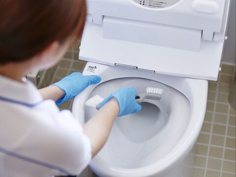 トイレ掃除に必要な 道具と洗剤って 便器から床まで清潔に 暮らしニスタ