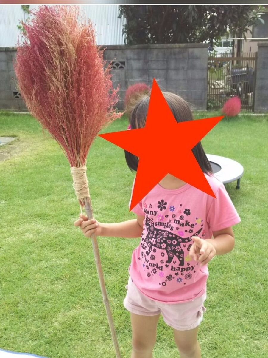 子どもがやる気になる魔法のほうき 暮らしニスタ 子どもがやる気になる魔法のほうき 暮らしニスタ