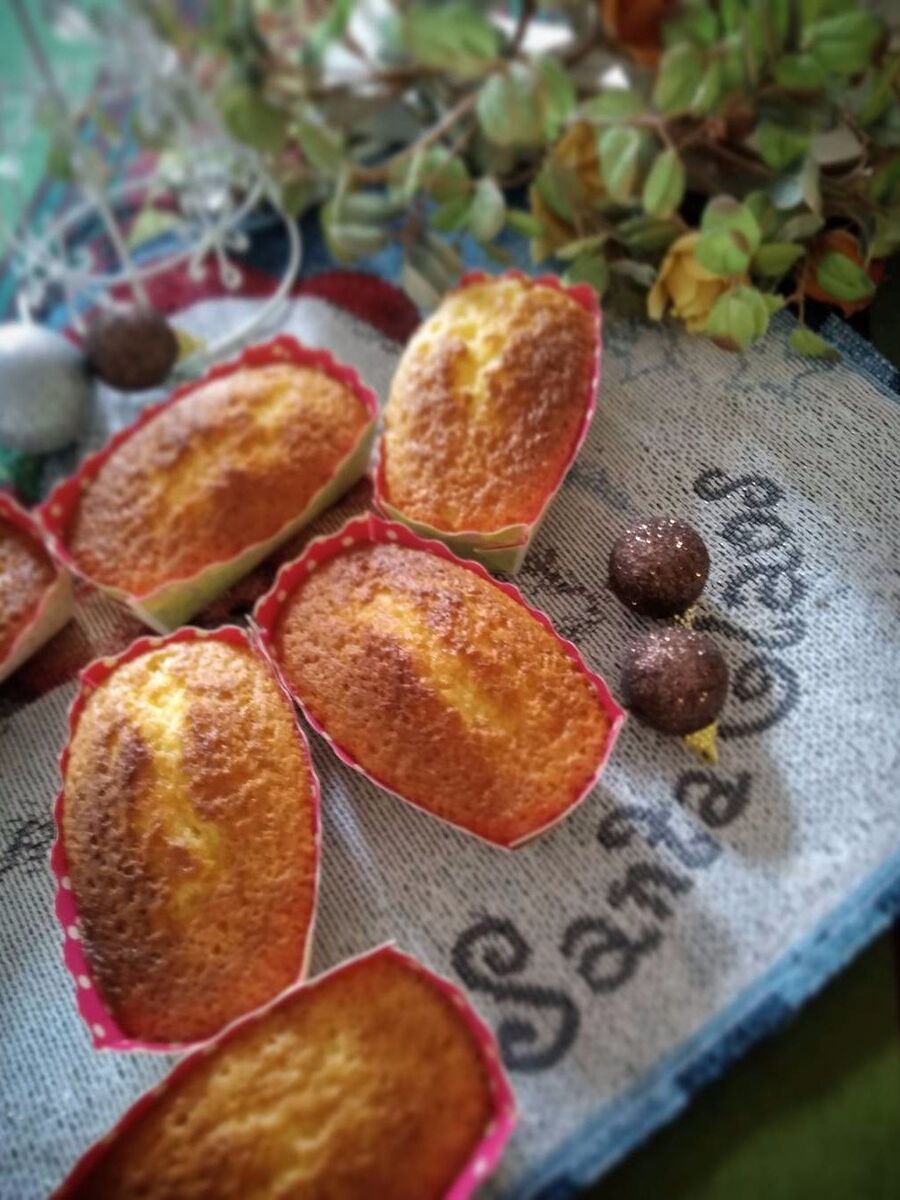 切る手間省けるミニサイズ パウンドケーキ 暮らしニスタ 切る手間省けるミニサイズ パウンドケーキ 暮らしニスタ