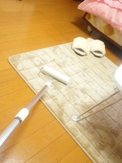 長さが決め手 劇的に掃除が楽になるアイテム コロコロ ロングを 暮らしニスタ 長さが決め手 劇的に掃除が楽になるアイテム コロコロ ロングを 暮らしニスタ