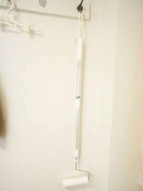 長さが決め手 劇的に掃除が楽になるアイテム コロコロ ロングを 暮らしニスタ 長さが決め手 劇的に掃除が楽になるアイテム コロコロ ロングを 暮らしニスタ