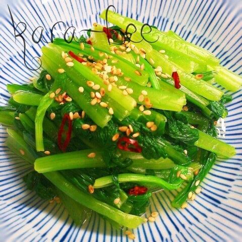 お箸が止まらない 簡単 小松菜の浅漬け 暮らしニスタ