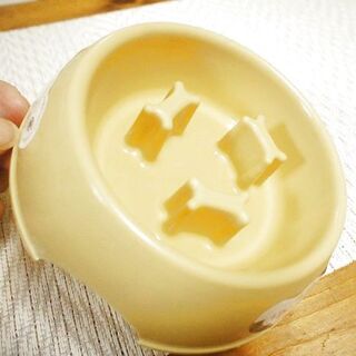早食いはブタの素 キャンドゥの愛犬用 早食い防止皿 暮らしニスタ 早食いはブタの素 キャンドゥの愛犬用 早食い防止皿 暮らしニスタ