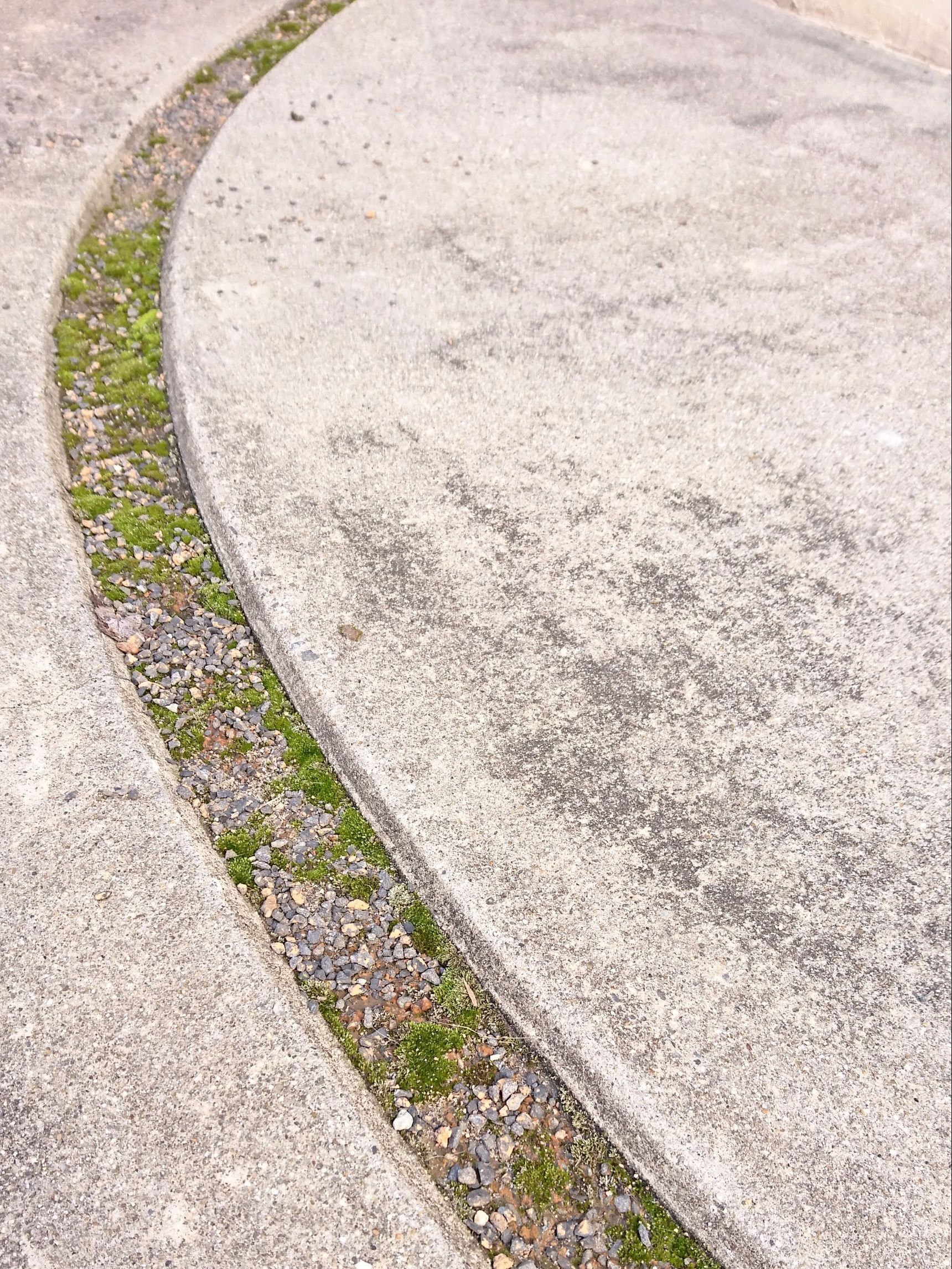 コケが生えた駐車場 固まる砂利と小石でコケ防止 暮らしニスタ