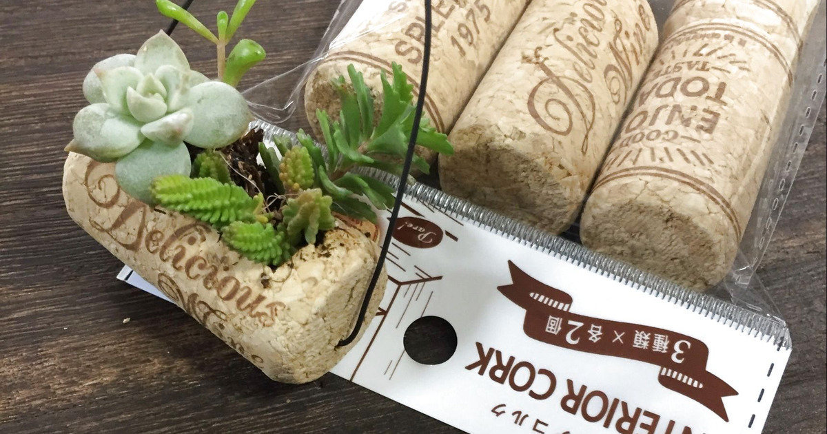 Diyの幅が広がる コルク栓６個セット 暮らしニスタ