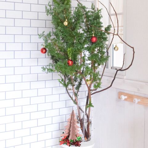 枝ものを使って簡単クリスマスツリー 暮らしニスタ 枝ものを使って簡単クリスマスツリー 暮らしニスタ