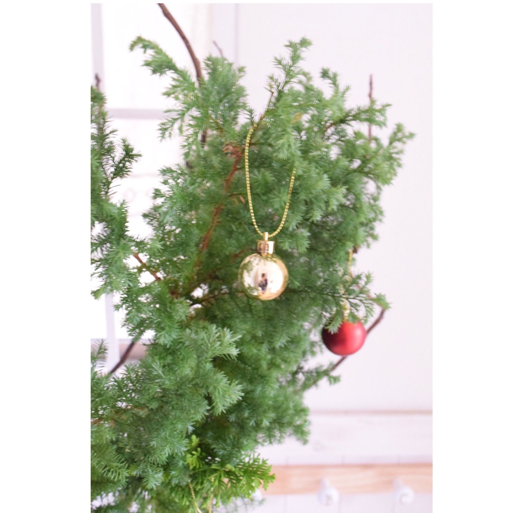 枝ものを使って簡単クリスマスツリー 暮らしニスタ