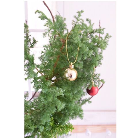 枝ものを使って簡単クリスマスツリー 暮らしニスタ 枝ものを使って簡単クリスマスツリー 暮らしニスタ