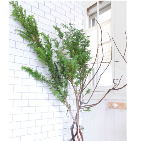 枝ものを使って簡単クリスマスツリー 暮らしニスタ 枝ものを使って簡単クリスマスツリー 暮らしニスタ