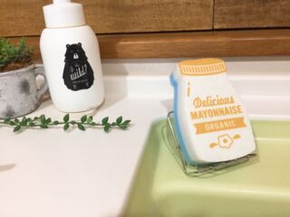 キャンドゥのサビにくいソープディッシュをスポンジ用に 暮らしニスタ