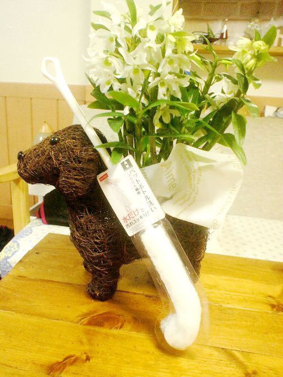 衛生的で楽するために ダイソーのペットボトル洗いロング 暮らしニスタ 衛生的で楽するために ダイソーのペットボトル洗いロング 暮らしニスタ