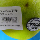 Sweetieの様な・・・・Melogold？？？