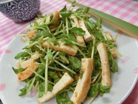 チンして混ぜるだけ 厚揚げと豆苗のピリ辛サラダ 暮らしニスタ