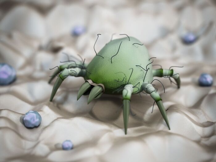 ダニ駆除の効果は マルチに進化する ふとん乾燥機 暮らしニスタ ダニ駆除の効果は マルチに進化する ふとん乾燥機 暮らしニスタ