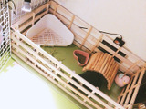 材料はすべてダイソー！すのこを使ってモルモットのサークル・ケージを手作り