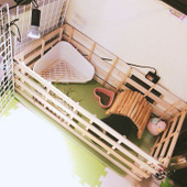 材料はすべてダイソー！すのこを使ってモルモットのサークル・ケージを手作り