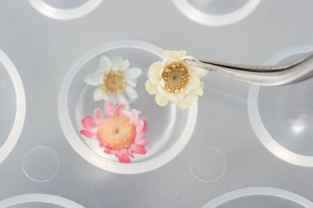 簡単可愛い レジン アクセサリーの作り方 暮らしニスタ Goo ニュース