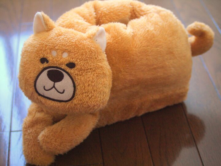 3COINSの人気商品!「賢くかわいい!犬グッズたち」