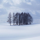 【2月の肌占い】お肌のタイプと血液型から占います！