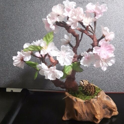 とっても綺麗な桜のミニ盆栽を切り株型の植木鉢で作ってみました 暮らしニスタ