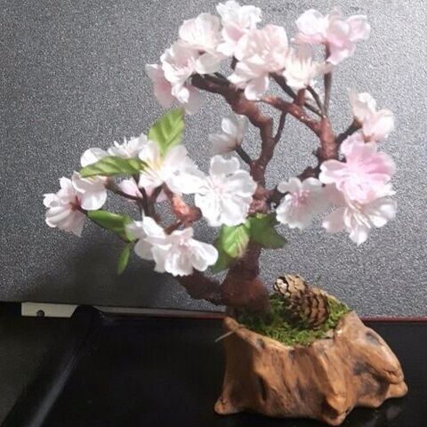 とっても綺麗な桜のミニ盆栽を切り株型の植木鉢で作ってみました 暮らしニスタ とっても綺麗な桜のミニ盆栽を切り株型の植木鉢で作ってみました 暮らしニスタ