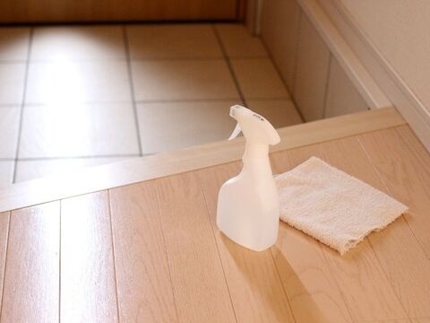 玄関掃除はセスキ水でラクラク ズボラでも続く超カンタン掃除ワザ 暮らしニスタ 玄関掃除はセスキ水でラクラク ズボラでも続く超カンタン掃除ワザ 暮らしニスタ