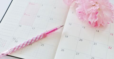 4月から手帳を変えるあなたへ 春から使えるおすすめスケジュール帳 暮らしニスタ