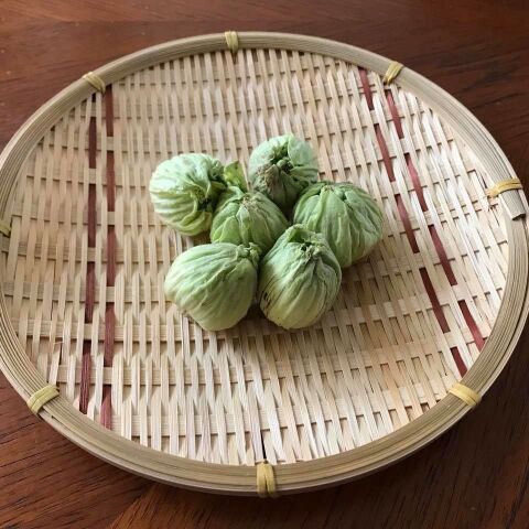 ふき味噌の作り方 春が旬 ふきのとうで作る日本の味 暮らしニスタ