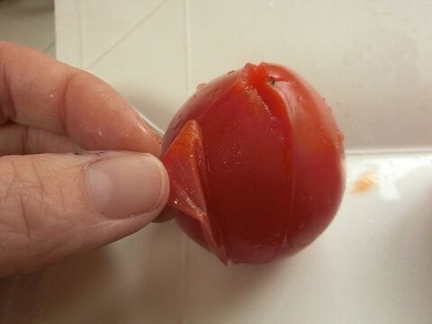 簡単10分 トマトの白だしチーズ煮 暮らしニスタ