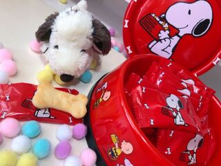 Usjお土産 スヌーピーの可愛いおせんべい 暮らしニスタ Usjお土産 スヌーピーの可愛いおせんべい 暮らしニスタ