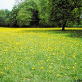  【4月の肌占い】お肌のタイプと血液型から占います！