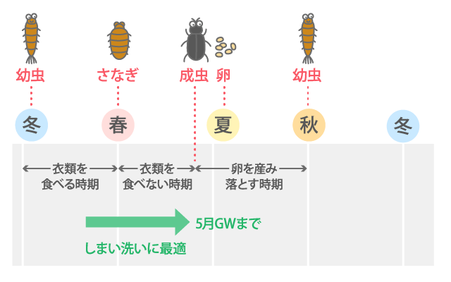 冬物衣類の片付け ベストな時期はいつ 虫食いを防ぐために知っておくべきこと 暮らしニスタ 冬物衣類の片付け ベストな時期はいつ 虫食いを防ぐために知っておくべきこと 暮らしニスタ