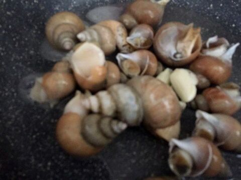 パンにつけたり パスタと和えたり おいしさがぐっと詰まったつぶ貝のアヒージョ 暮らしニスタ パンにつけたり パスタと和えたり おいしさがぐっと詰まったつぶ貝のアヒージョ 暮らしニスタ