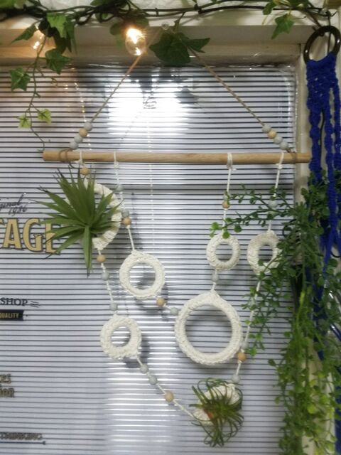 100均とプラリングで飾って楽しいエアープランツホルダーをdiy 暮らしニスタ 100均とプラリングで飾って楽しいエアープランツホルダーをdiy 暮らしニスタ