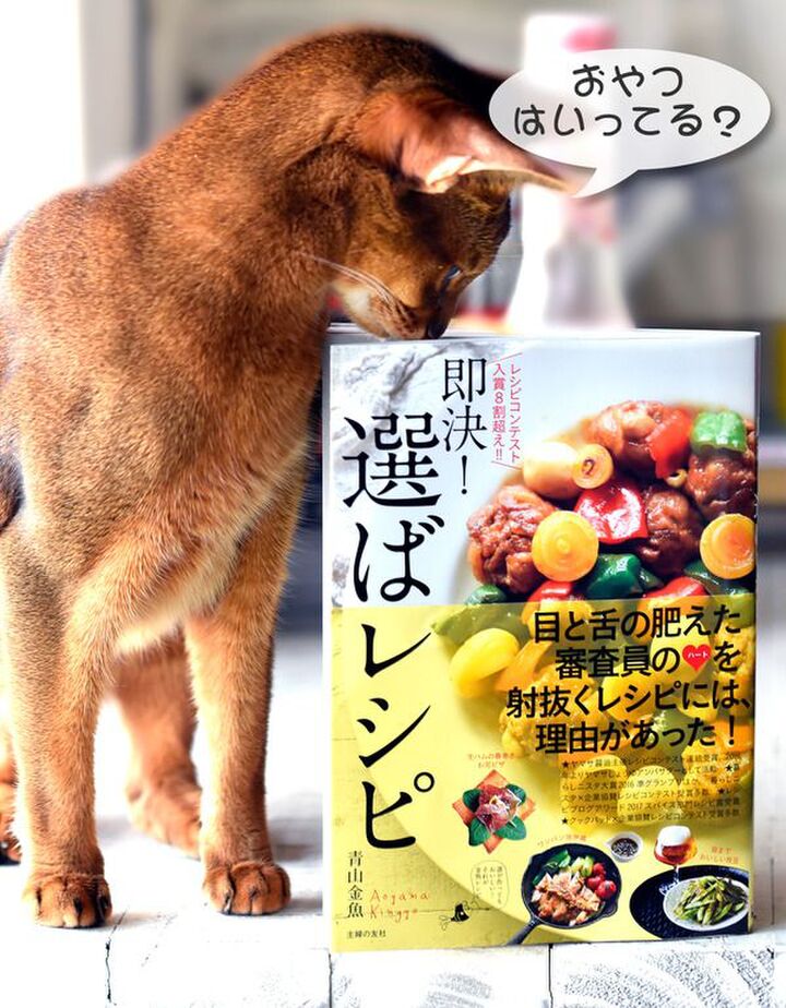 青山金魚さんの出版記念イベントが5月20日に、福岡にある「六本松 蔦屋書店」で開催♪