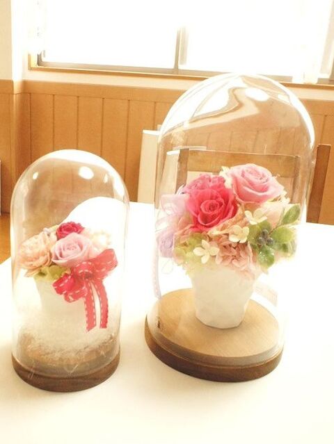 Ikeaでジャストフィット ガラスドームでプリザーブドフラワーに高級感 暮らしニスタ Ikeaでジャストフィット ガラスドームでプリザーブドフラワーに高級感 暮らしニスタ