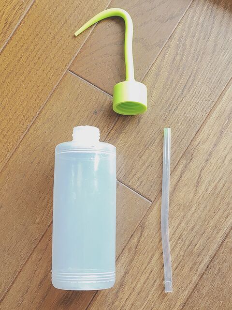 観葉植物の受け皿の水を吸う事もできる水挿し 暮らしニスタ 観葉植物の受け皿の水を吸う事もできる水挿し 暮らしニスタ