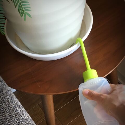 観葉植物の受け皿の水を吸う事もできる水挿し 暮らしニスタ 観葉植物の受け皿の水を吸う事もできる水挿し 暮らしニスタ