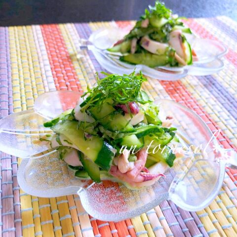 これからの時期にぴったり イカとすりおろしきゅうりのわさび酢和え 暮らしニスタ