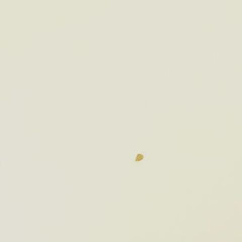 傷だらけの階段diy ペイントウッドのクッションフロア 暮らしニスタ 傷だらけの階段diy ペイントウッドのクッションフロア 暮らしニスタ