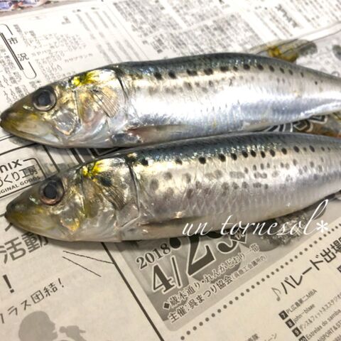 血行促進に 手開きで簡単 イワシのかば焼き トマトみそ味 暮らしニスタ 血行促進に 手開きで簡単 イワシのかば焼き トマトみそ味 暮らしニスタ