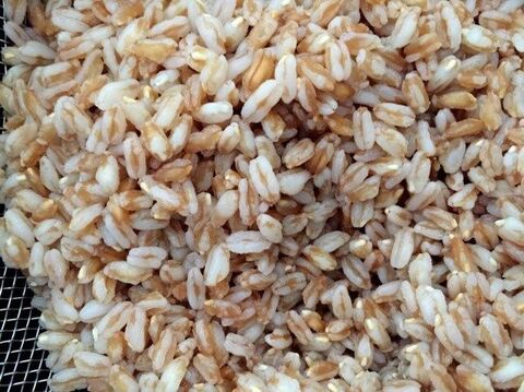 今話題の穀物 スペルト小麦 ファッロ のサラダ 暮らしニスタ 今話題の穀物 スペルト小麦 ファッロ のサラダ 暮らしニスタ