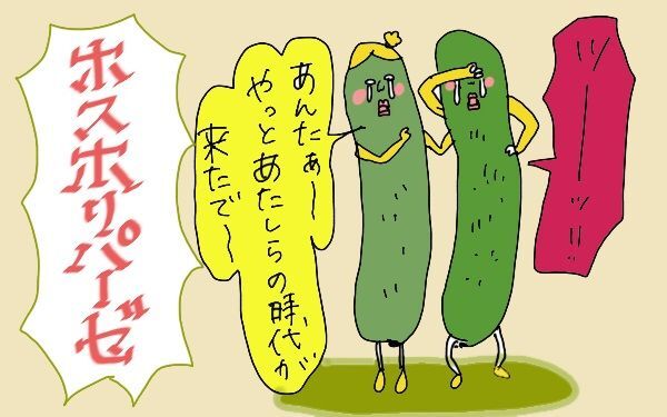 無精ママ きゅうり食べるだけダイエットに励むの巻き 暮らしニスタ