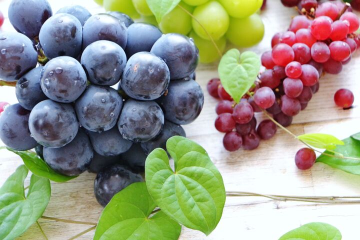 夏休みはおやつもスペシャル!夏季スイーツをご紹介