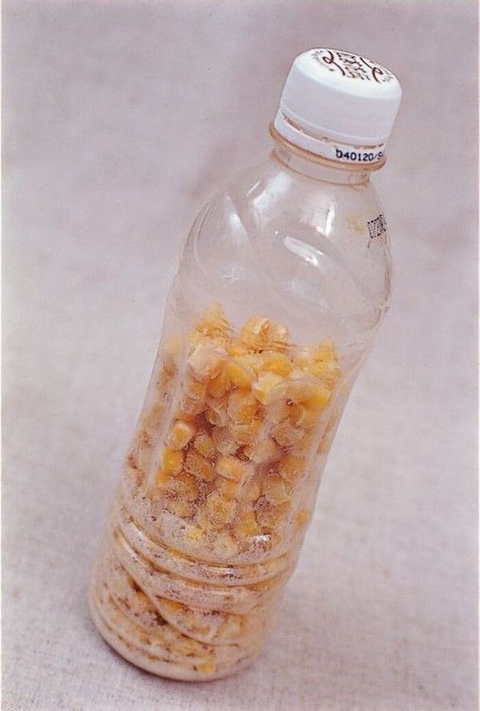 1分で完成 ペットボトル活用でアウトドアでも活躍する アレ を作ってみた 家事コツ 暮らしニスタ 1分で完成 ペットボトル活用でアウトドアでも活躍する アレ を作ってみた 家事コツ 暮らしニスタ