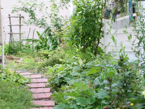 手作りいっぱいの多肉ガーデン 18 暮らしニスタ