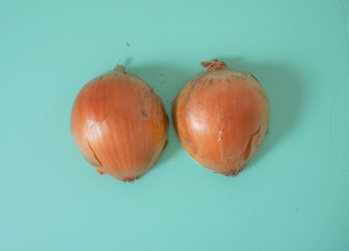 玉ねぎのみじん切り 手早く粒揃いに切るには 家事コツ 暮らしニスタ 玉ねぎのみじん切り 手早く粒揃いに切るには 家事コツ 暮らしニスタ