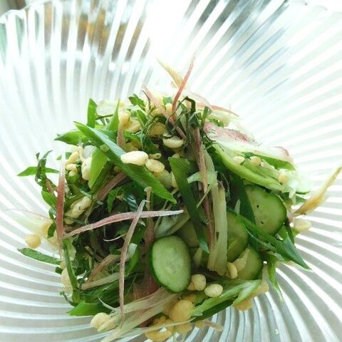 夏にピッタリ ショウガたっぷりドレッシングで九条ネギサラダ 暮らしニスタ