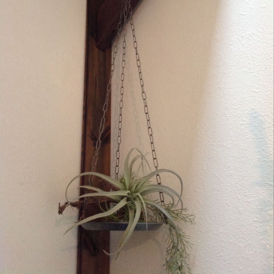 100均x4つでオシャレなカフェ風 ハンギングトレイdiy 暮らしニスタ 100均x4つでオシャレなカフェ風 ハンギングトレイdiy 暮らしニスタ